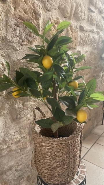 L'Isle Apartment Beaucaire  Luaran gambar